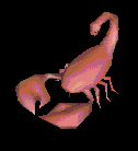 Steve Jenkins's Photo