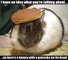 Pancake_head.jpg